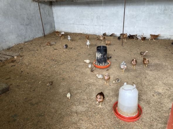 Small farm for creative and sustainable people