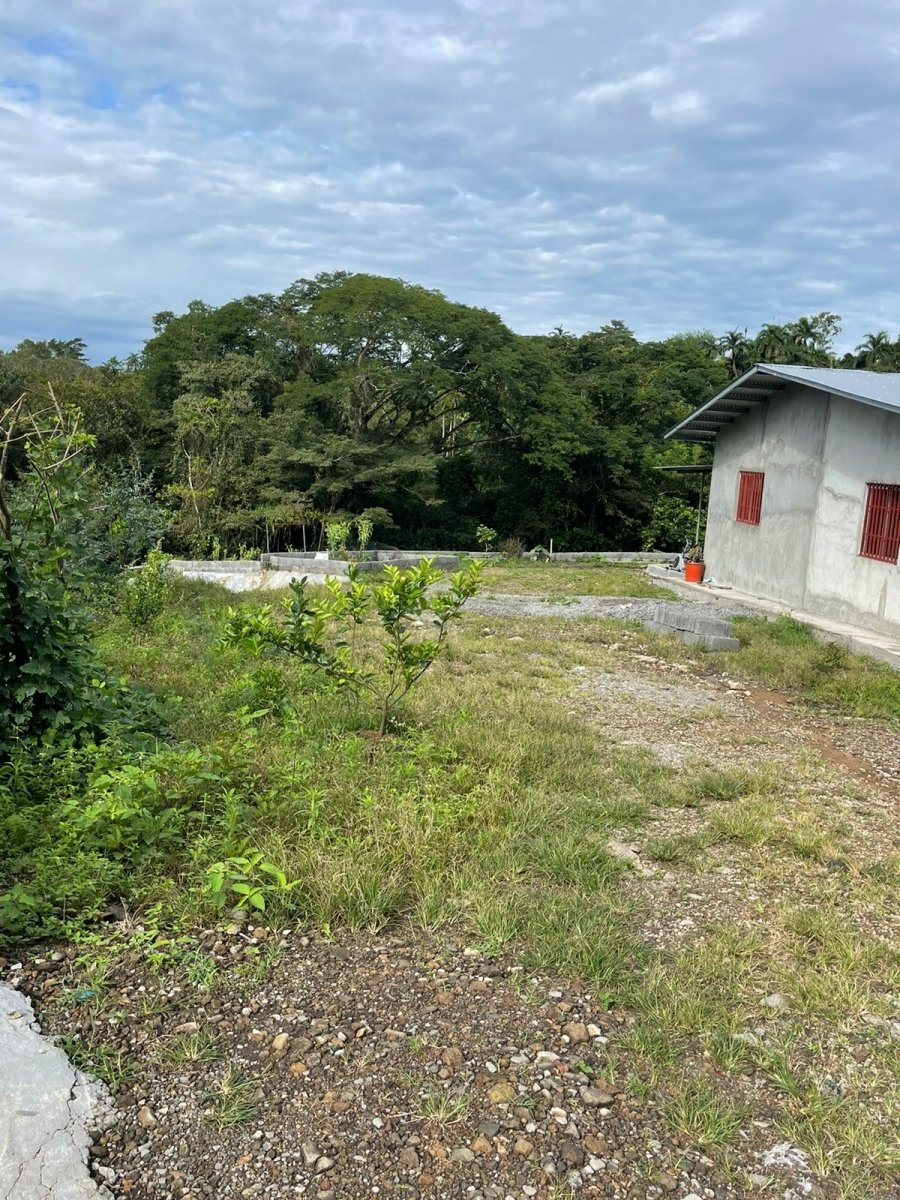 Small farm for creative and sustainable people