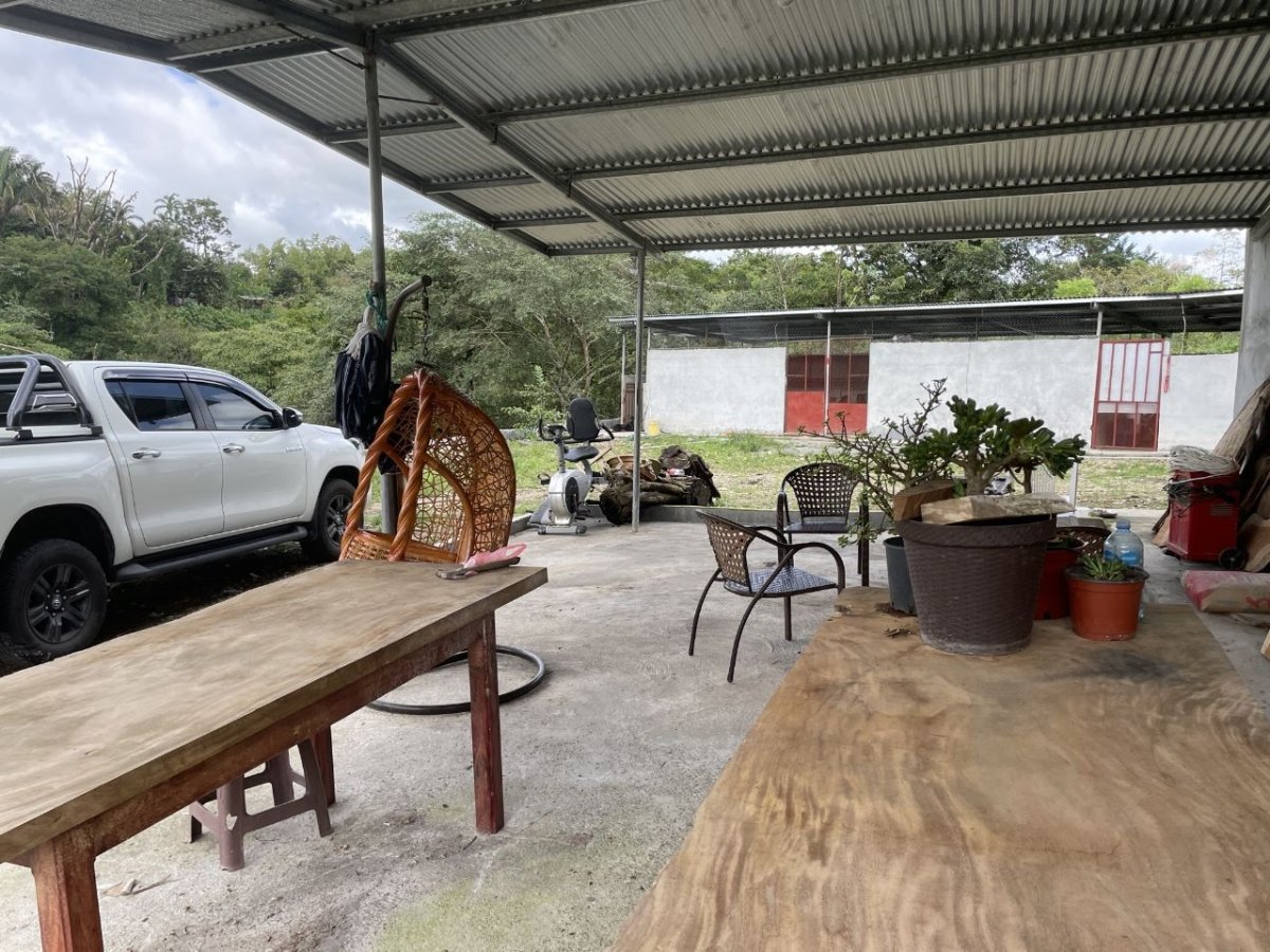 Small farm for creative and sustainable people