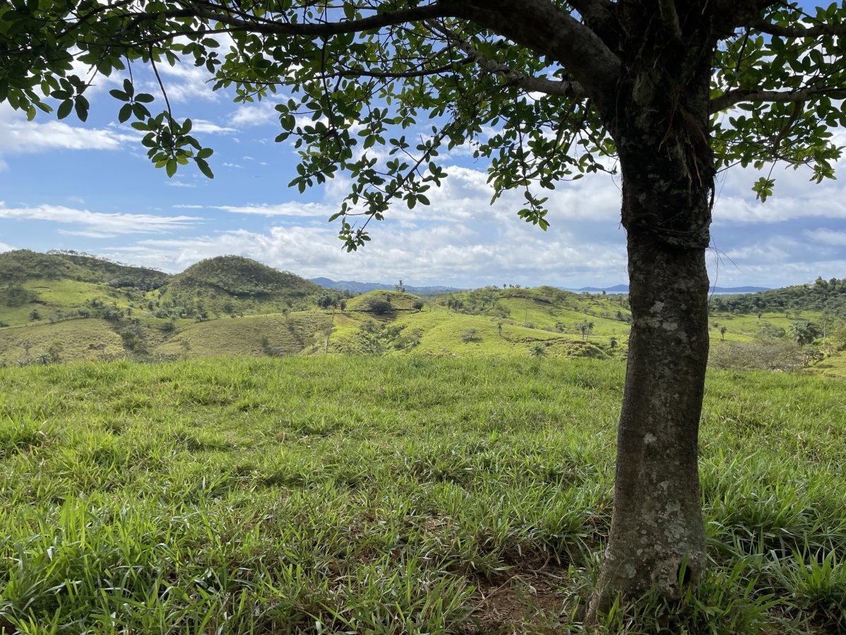 360° views in Boca Chica - great opportunity!