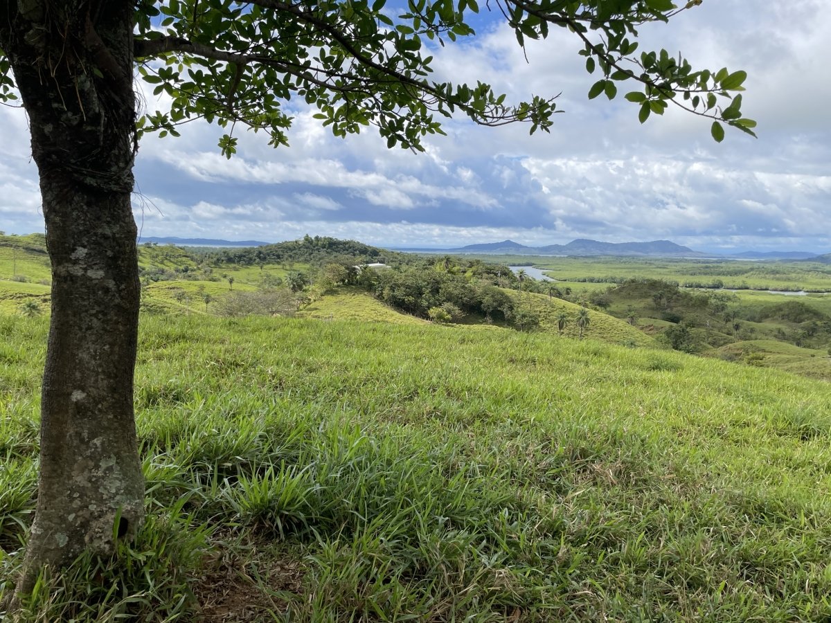 360° views in Boca Chica - great opportunity!