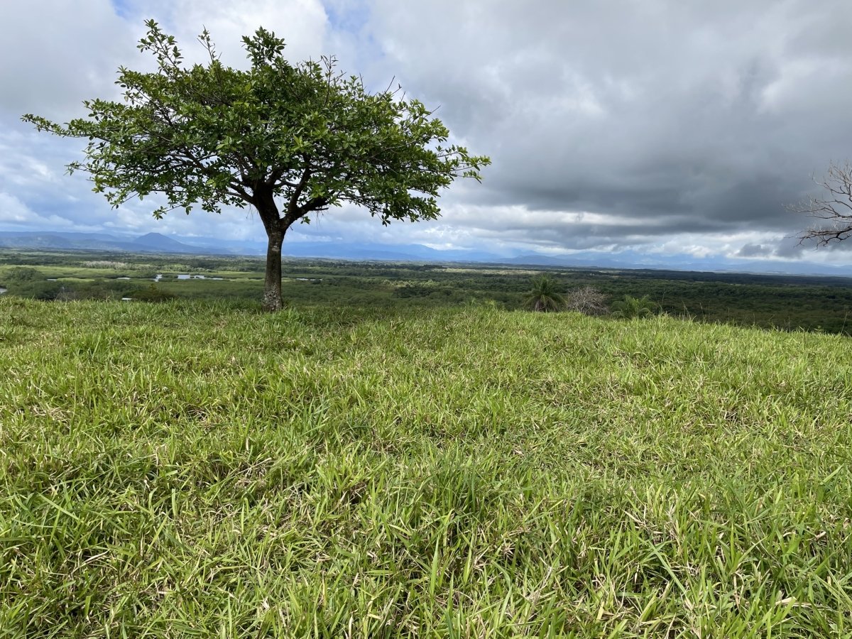 360° views in Boca Chica - great opportunity!