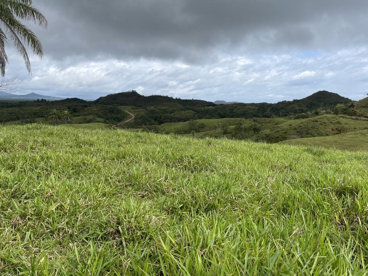 Vistas de 360° en Boca Chica - ¡gran oportunidad!