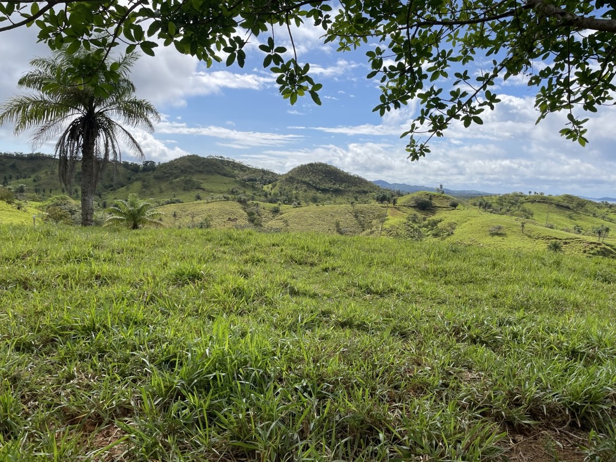 Vistas de 360° en Boca Chica - ¡gran oportunidad!
