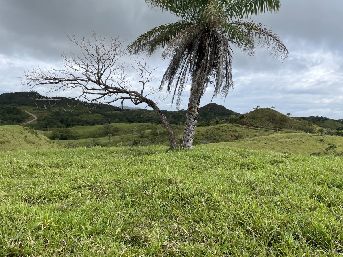 Vistas de 360° en Boca Chica - ¡gran oportunidad!