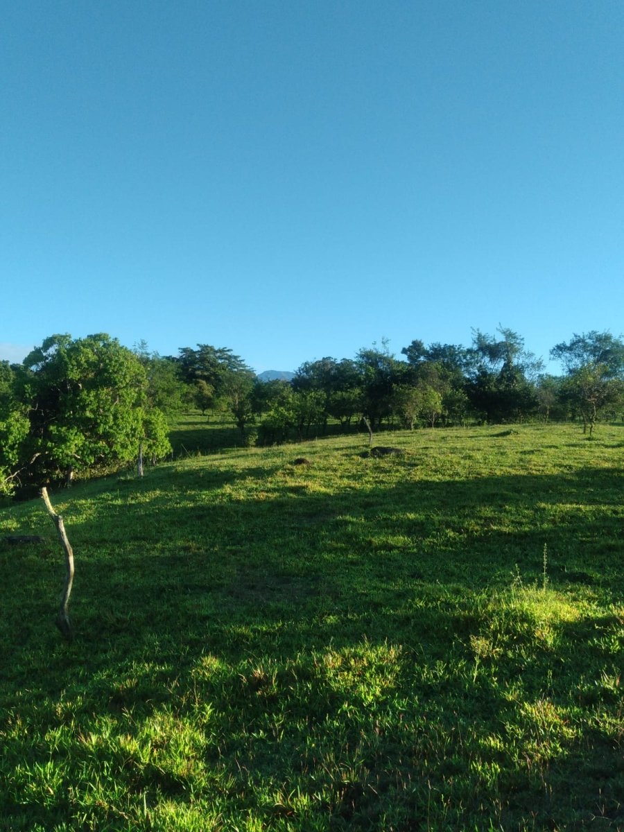 7 hectares of nature, impressive tranquility and nice views near Volcá...