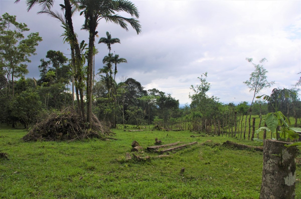 7 hectares of nature, impressive tranquility and nice views near Volcá...