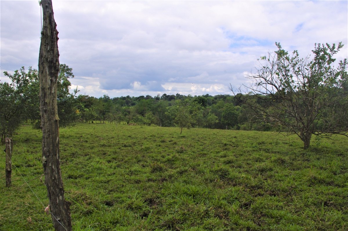 7 hectares of nature, impressive tranquility and nice views near Volcá...