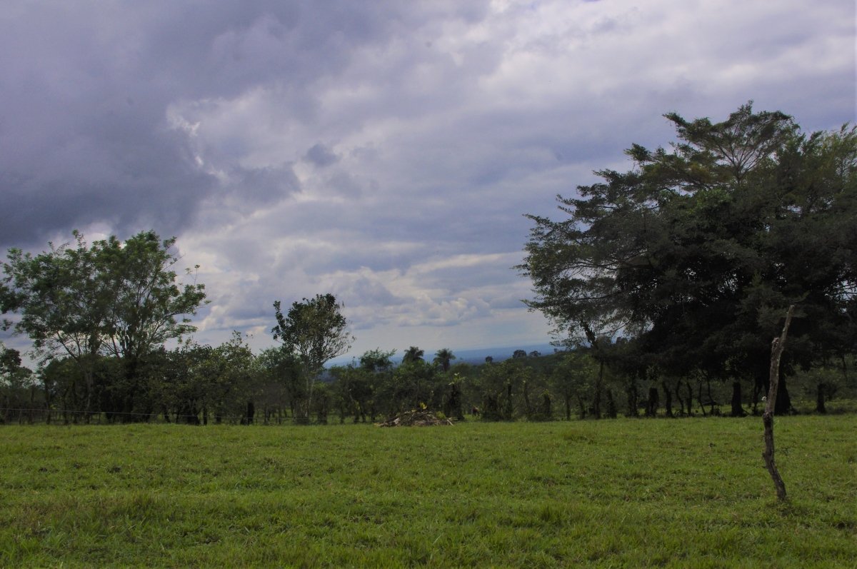 7 hectares of nature, impressive tranquility and nice views near Volcán