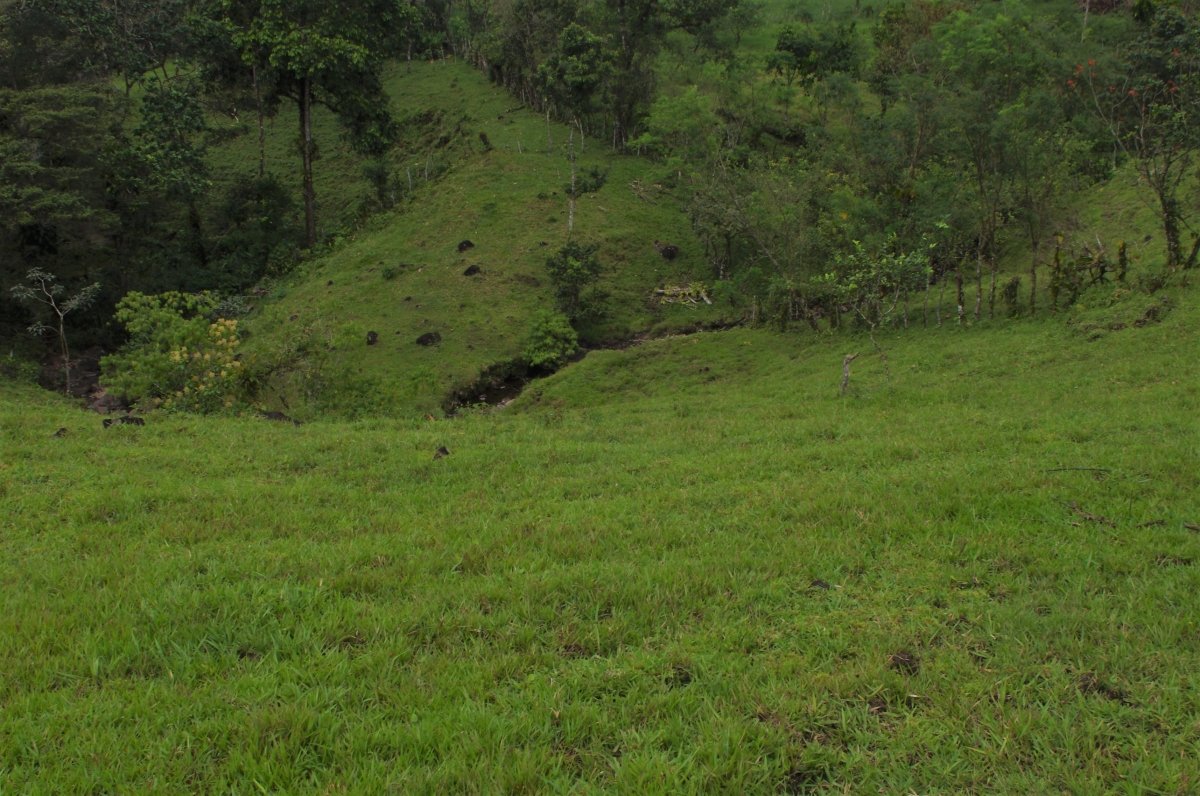7 hectares of nature, impressive tranquility and nice views near Volcán