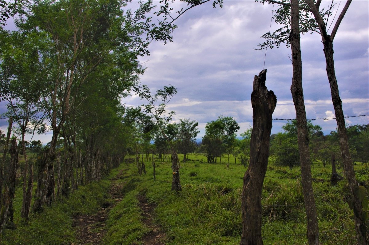 7 hectares of nature, impressive tranquility and nice views near Volcán