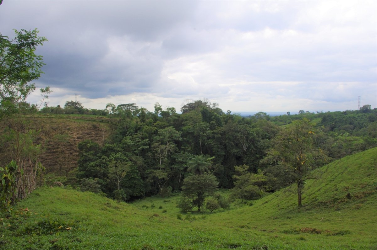 7 hectares of nature, impressive tranquility and nice views near Volcán
