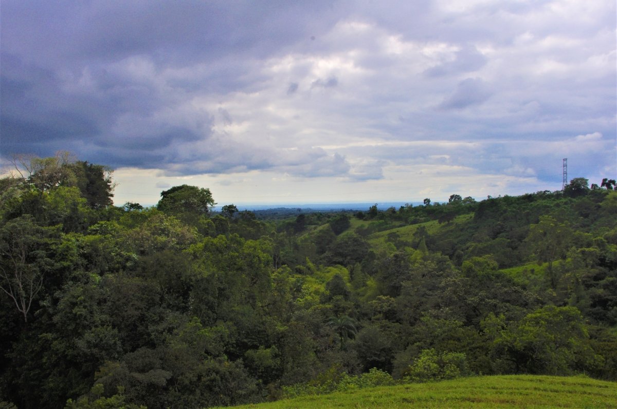 7 hectares of nature, impressive tranquility and nice views near Volcán