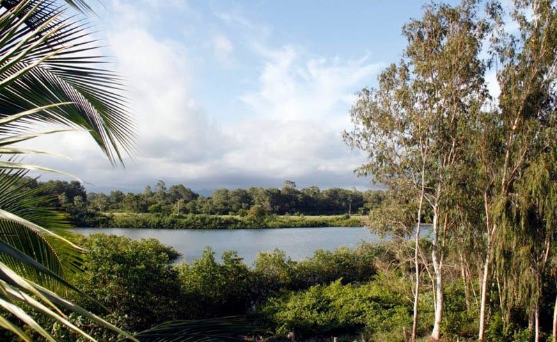Lote de laguna junto a la playa de Las Lajas