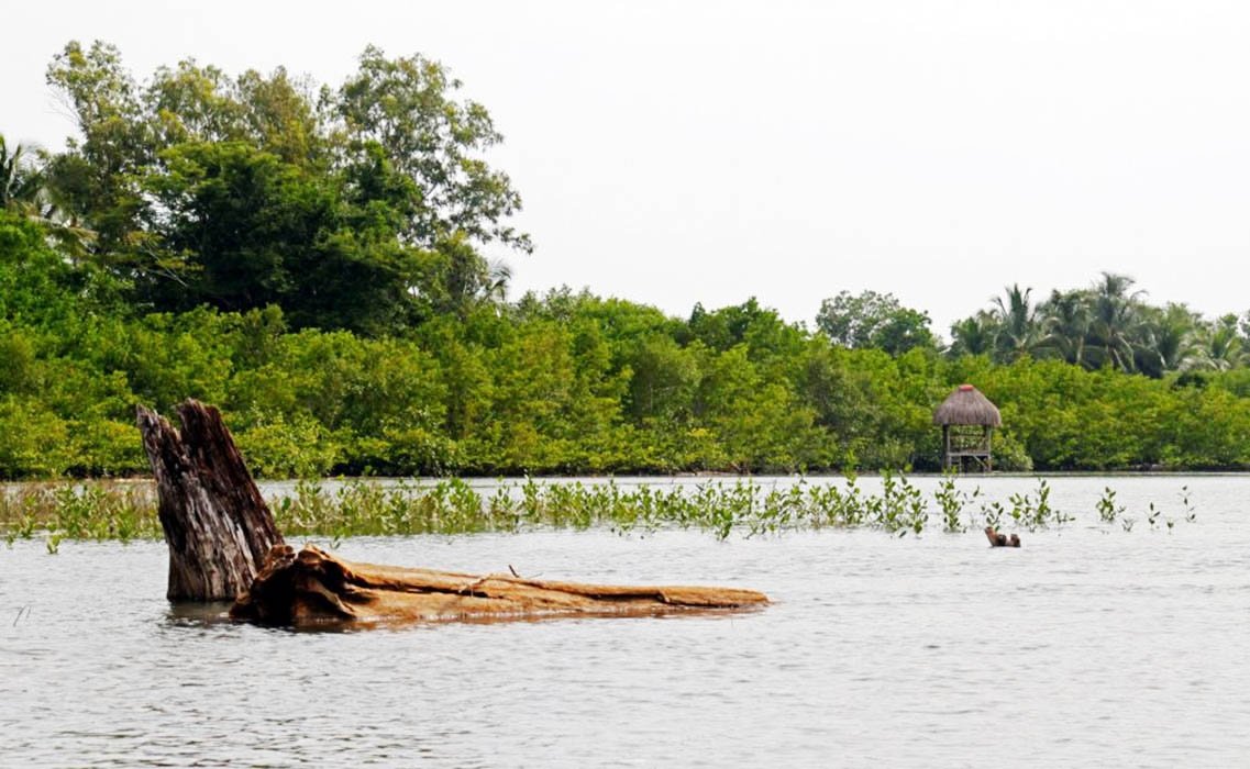 Lote de laguna junto a la playa de Las Lajas