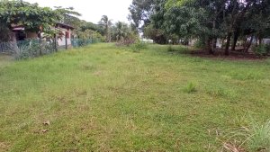 Lote de laguna junto a la playa de Las Lajas