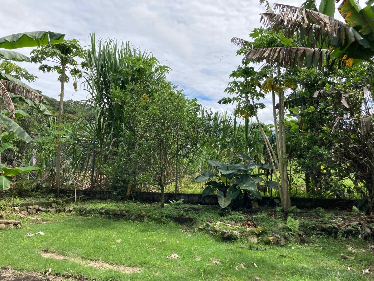 1-storey house with roof terrace in cool and quiet area, near Boquete