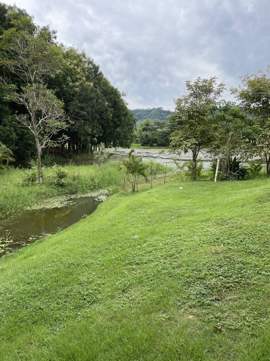 Upgraded Lakeside Home in David - financing available