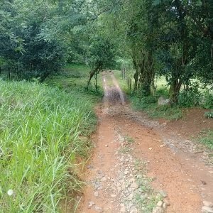2 hectáreas con vistas a la montaña cerca de Santa Fe y el río Mulaba