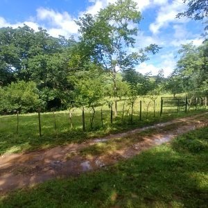 2 hectares with mountain-view near Santa Fe and Mulaba River
