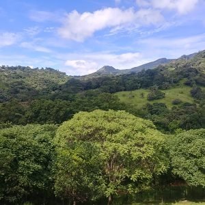2 hectares with mountain-view near Santa Fe and Mulaba River