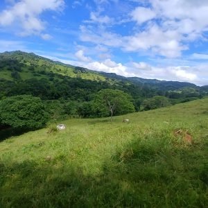 2 hectares with mountain-view near Santa Fe and Mulaba River