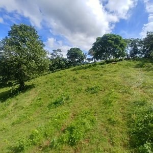 2 hectares with mountain-view near Santa Fe and Mulaba River