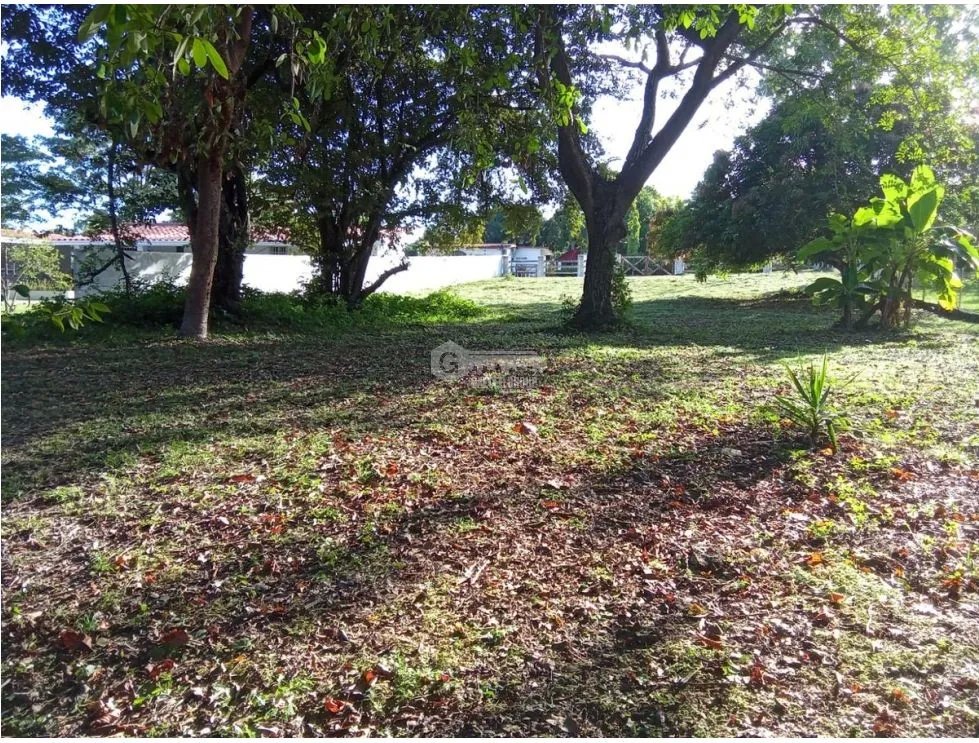 CORONADO / SECTOR LOS GUAYACANES / TERRENO CERCADO / 1300M2