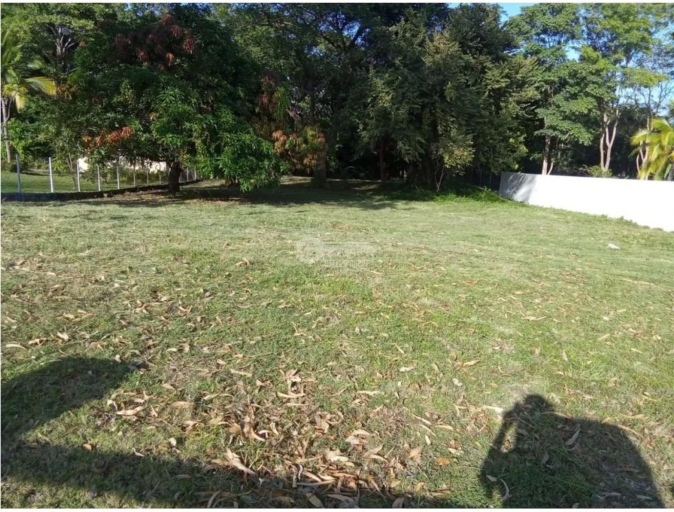 CORONADO / SECTOR LOS GUAYACANES / TERRENO CERCADO / 1300M2