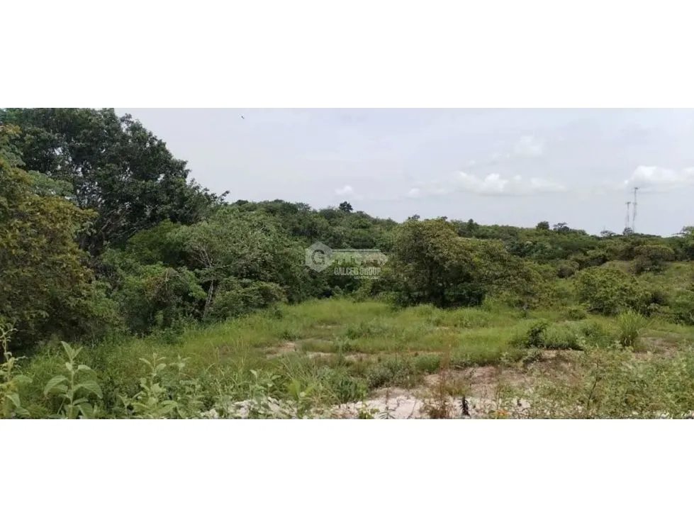 LAND FOR SALE IN SAN CARLOS WITH 7000M2 AND RIVER ACCESS
