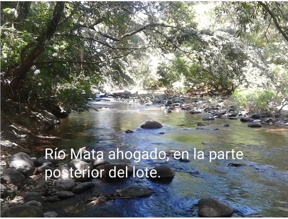 LAND / SAN CARLOS / EL NANCE / 7000M2 / RIVER ACCESS