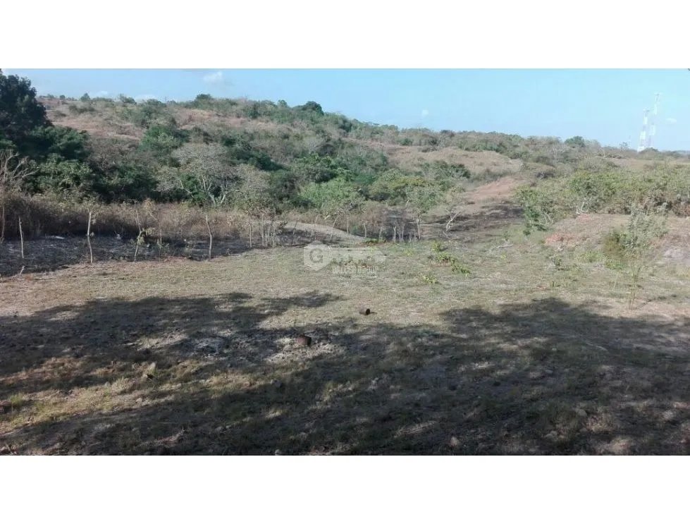 LAND / SAN CARLOS / EL NANCE / 7000M2 / RIVER ACCESS