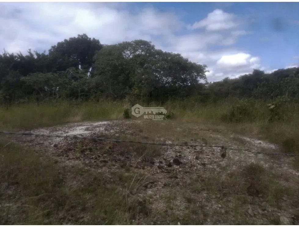 LAND / SAN CARLOS / EL NANCE / 7000M2 / RIVER ACCESS