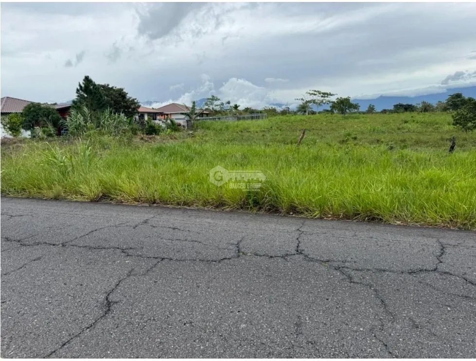 LAND / POTRERILLO ABAJO / 1487M2 / MAIN ROAD / COOL CLIMATE