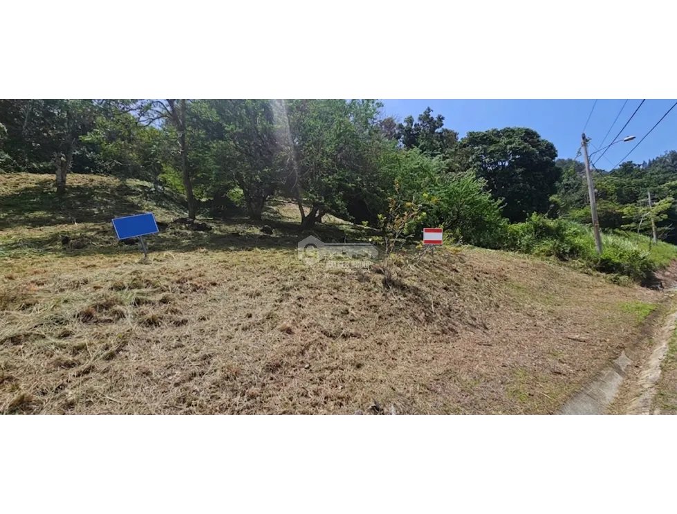 CHAME / ALTOS DE MARIA / 1900 M2 / FRUIT TREES / GREEN AREAS