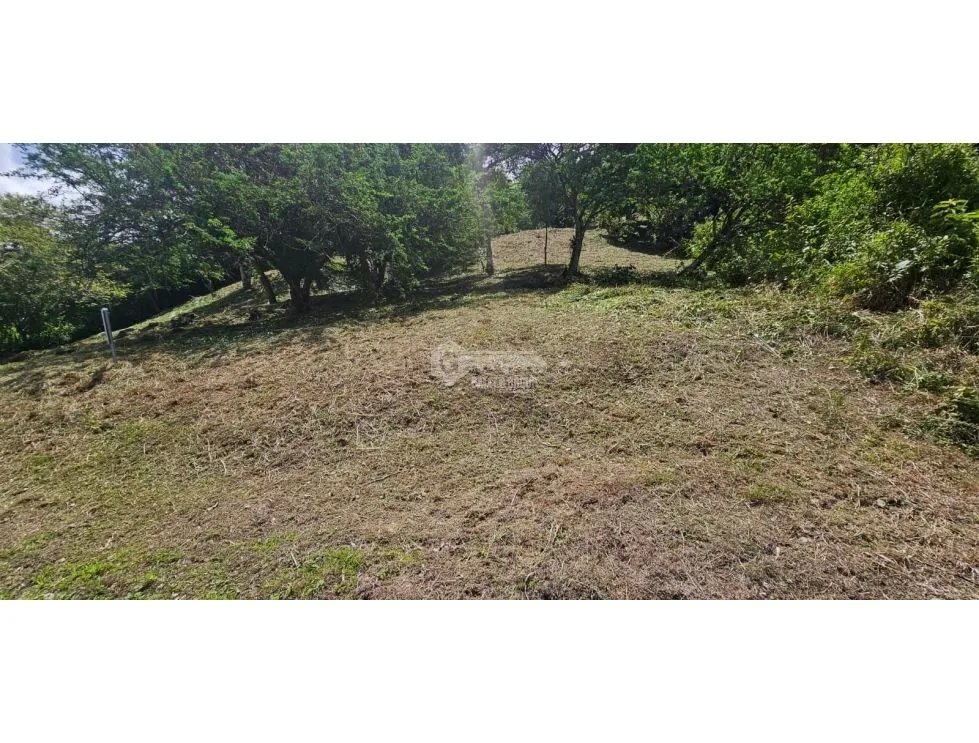 CHAME / ALTOS DE MARIA / 1900 M2 / FRUIT TREES / GREEN AREAS