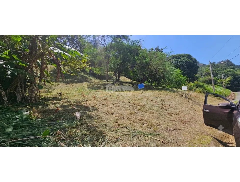 CHAME / ALTOS DE MARIA / 1900 M2 / FRUIT TREES / GREEN AREAS