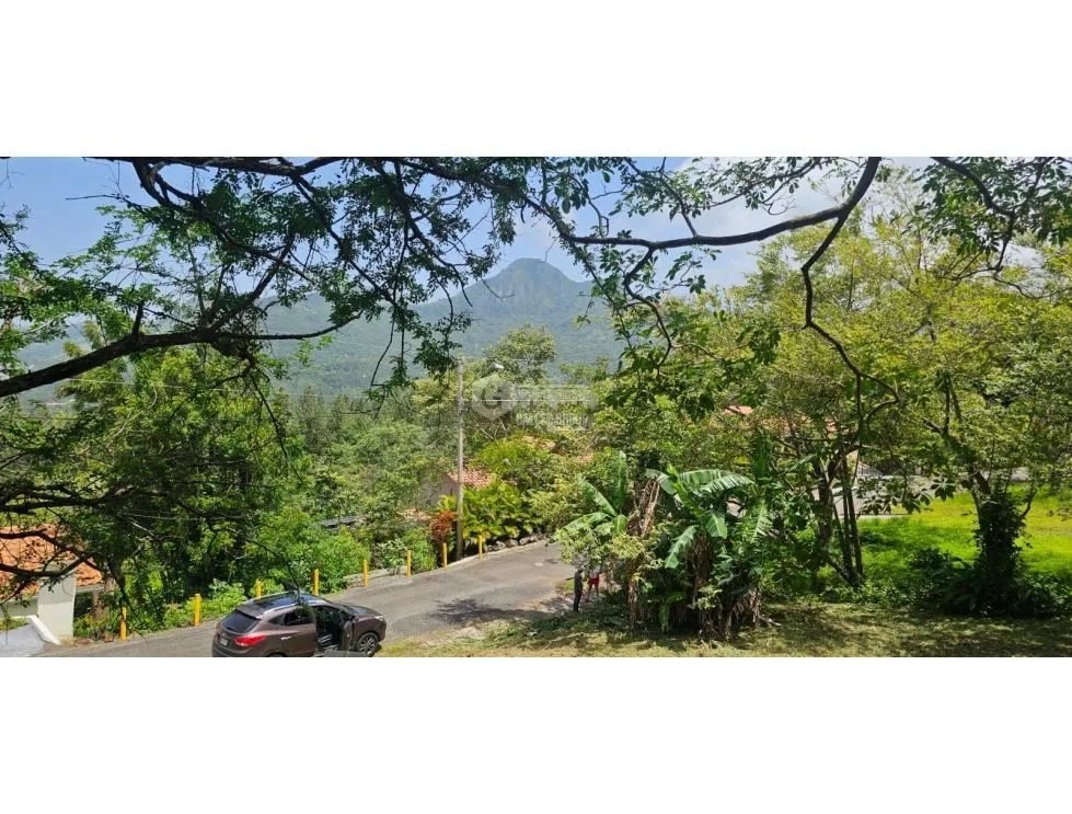 CHAME / ALTOS DE MARIA / 3005 M2 / FRUIT TREES / COOL CLIMATE