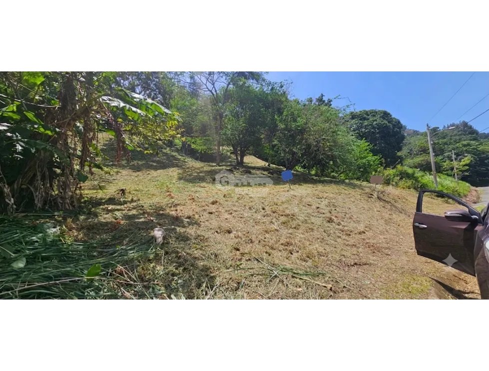 CHAME / ALTOS DE MARIA / 3005 M2 / FRUIT TREES / COOL CLIMATE