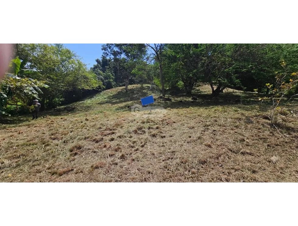 CHAME / ALTOS DE MARIA / 3005 M2 / FRUIT TREES / COOL CLIMATE