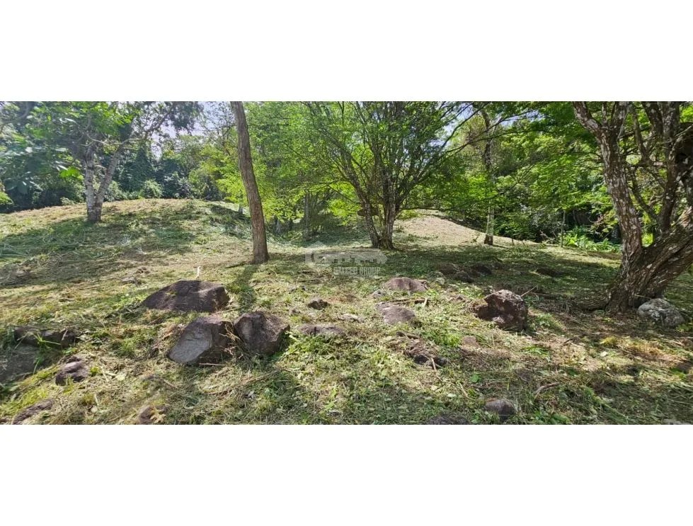 CHAME / ALTOS DE MARIA / 3005 M2 / FRUIT TREES / COOL CLIMATE