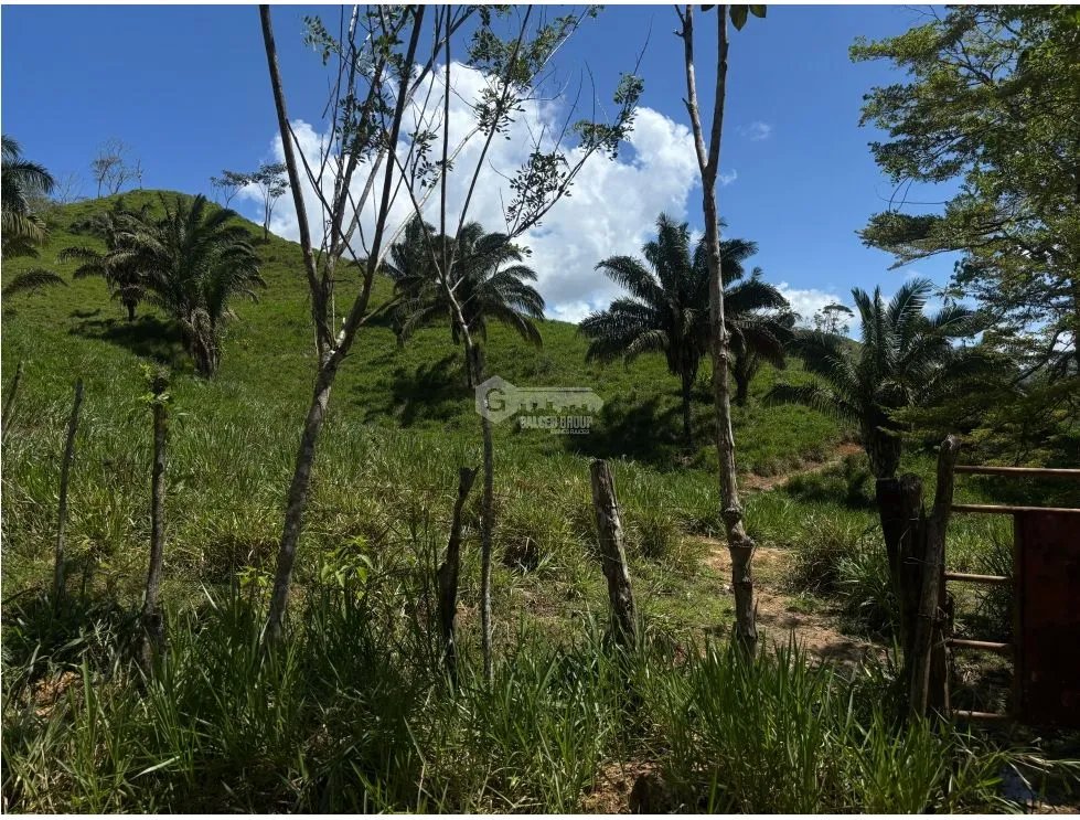 EL CACAO / CAPIRA / 86 HECTAREAS / IDEAL PARA GANADERIA Y AGRICULTURA