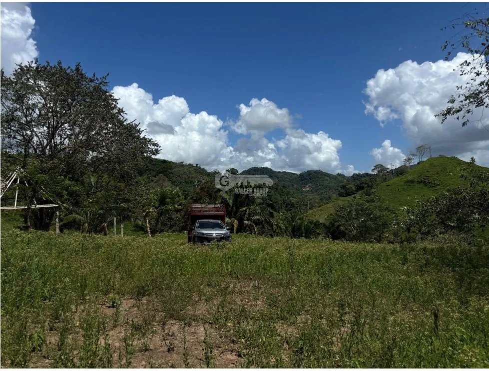 CAPIRA / EL CACAO / 70 HECTARES / IDEAL FOR LIVESTOCK AND AGRICULTURE