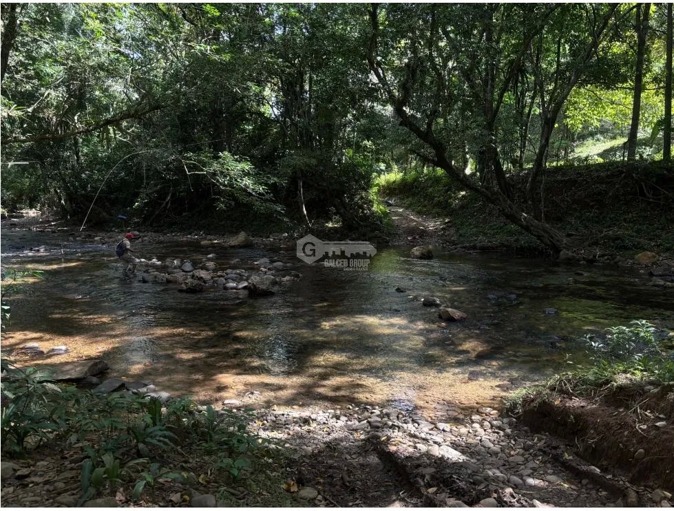 CAPIRA / EL CACAO / 70 HECTARES / IDEAL FOR LIVESTOCK AND AGRICULTURE