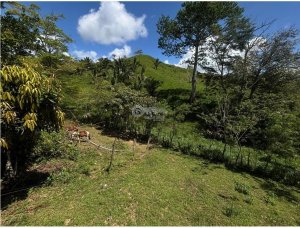 CAPIRA / EL CACAO / 70 HECTARES / IDEAL FOR LIVESTOCK AND AG…