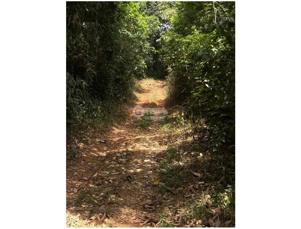 FARM FOR SALE IN CAPIRA EL CACAO IDEAL FOR LIVESTOCK AND AGRICULTURE
