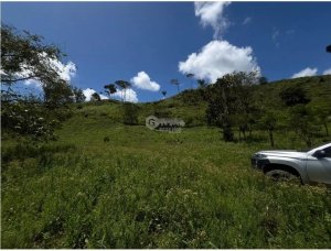 FARM FOR SALE IN CAPIRA EL CACAO IDEAL FOR LIVESTOCK AND AGR…