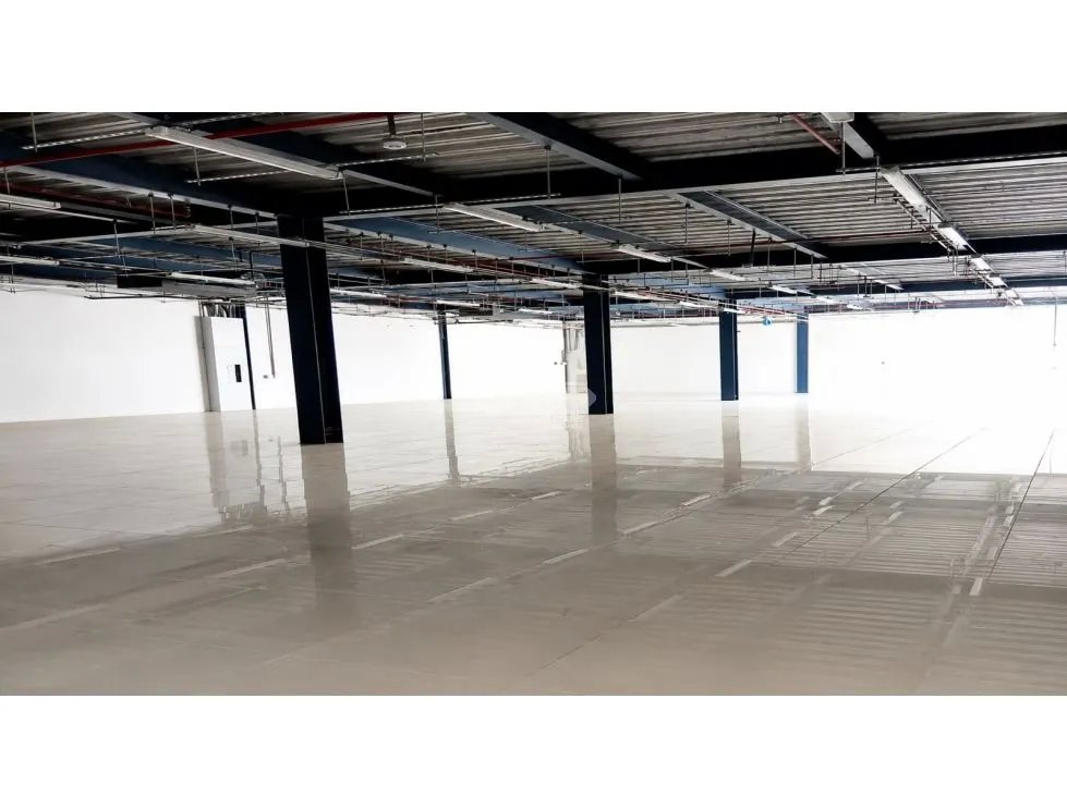 Commercial Space for Rent Juan Diaz 478 sqm Undivided Office