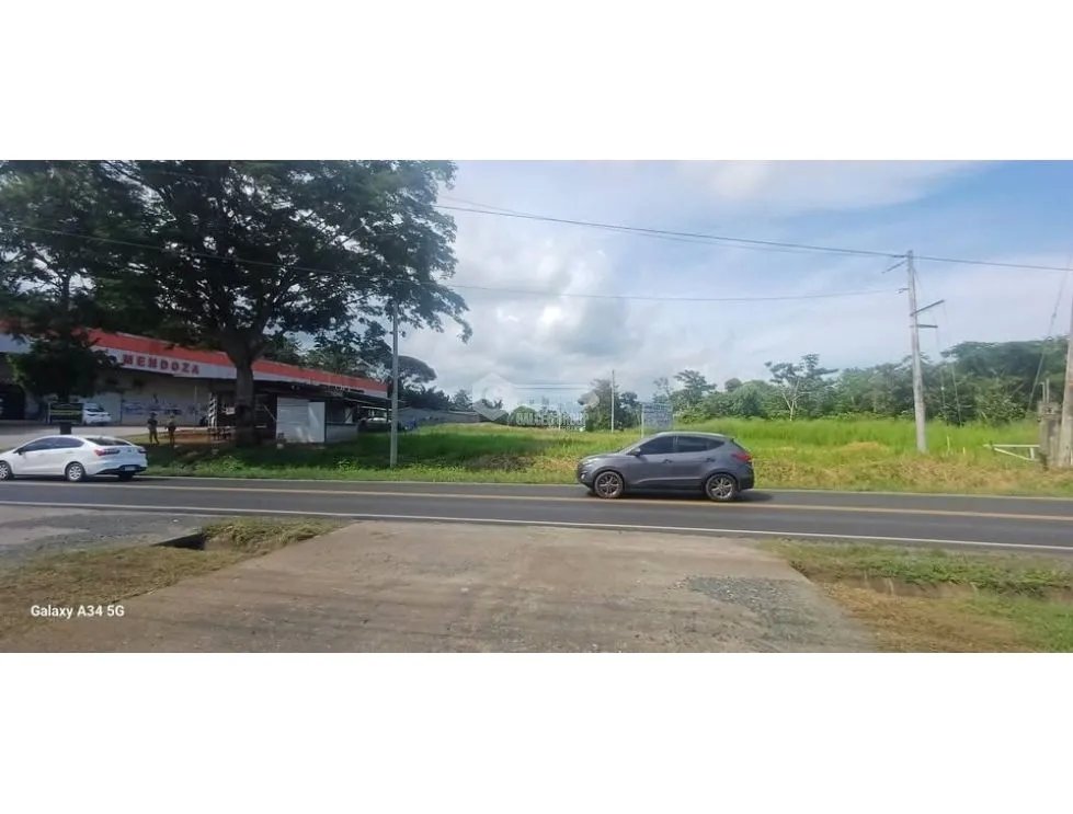 PANAMA OESTE / VIA LAS MENDOZAS / COMMERCIAL LAND FOR SALE