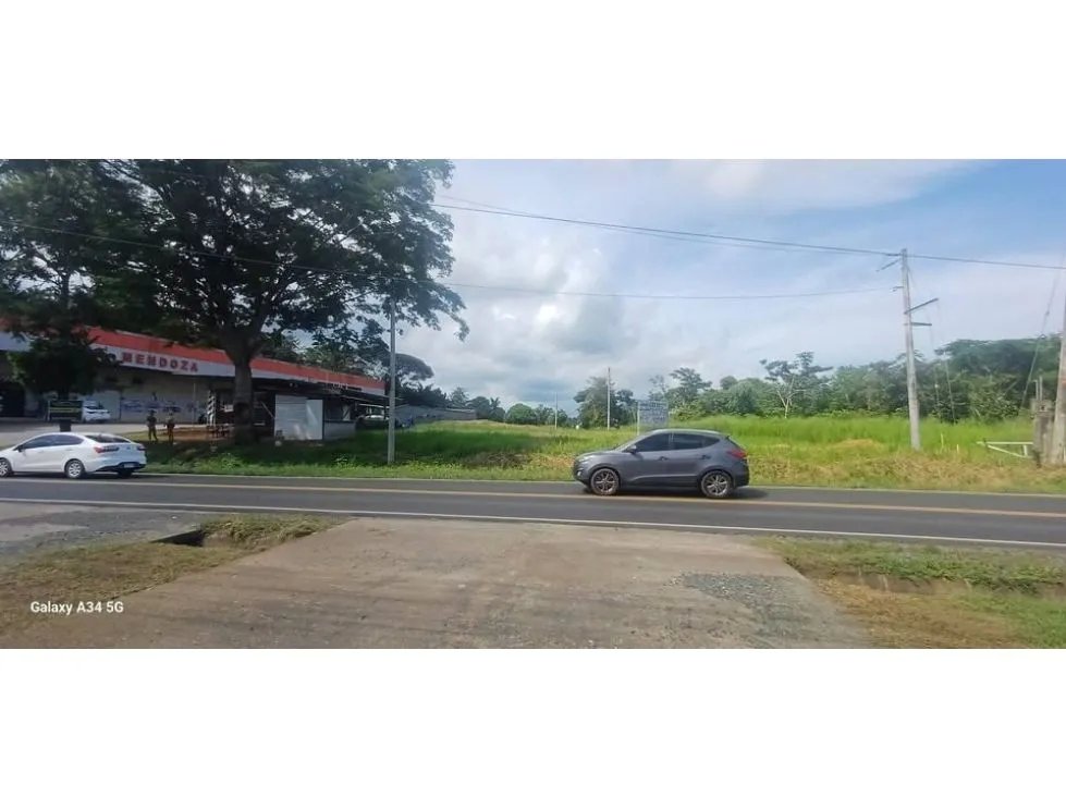 PANAMA OESTE / VIA LAS MENDOZAS / COMMERCIAL LAND FOR SALE